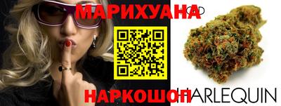 прущие грибы Можга