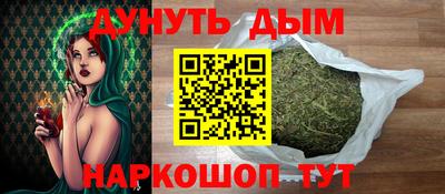 прущие грибы Можга