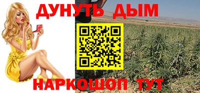 прущие грибы Можга